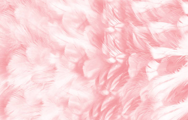 istock green turquoise vintage color trends chicken feather texture background 813507268