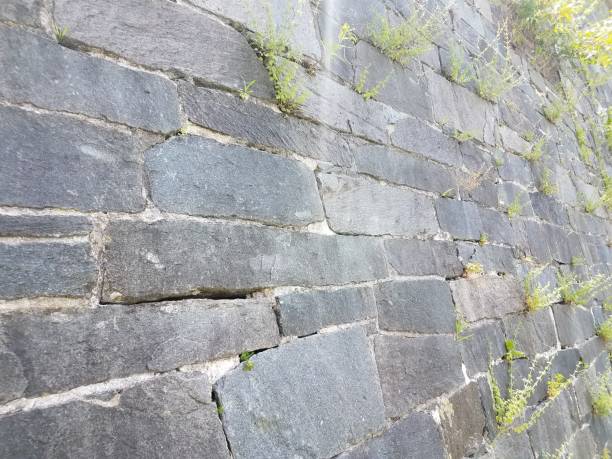 istock castle wall with weeds growing out of it 813507472