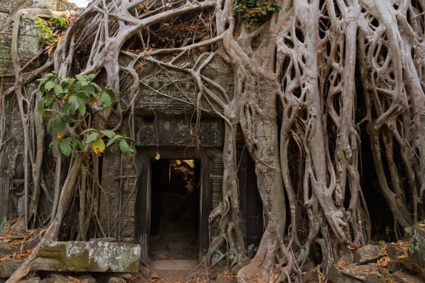 istock Ruins of Ta Prohm, Angkor Wat, Cambodia 813515716