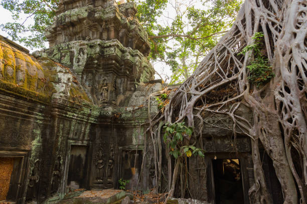 istock Ruins of Ta Prohm, Angkor Wat, Cambodia 813515718