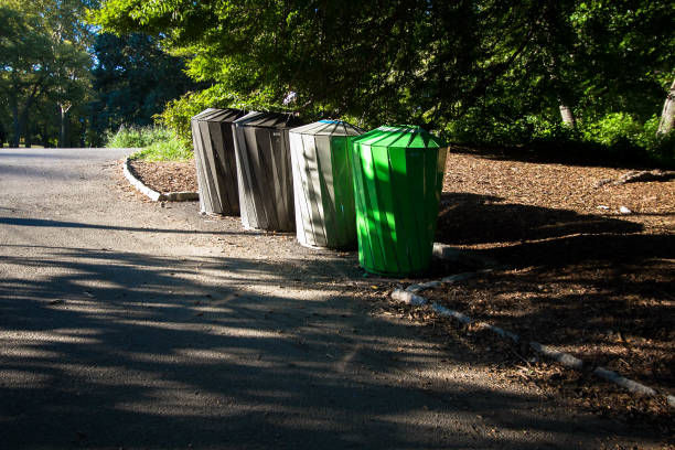 istock Trash bin under the shade of tree on the sidewalk 813530336