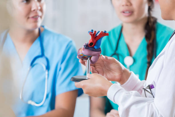 istock Med school students examine human heart model 813533642