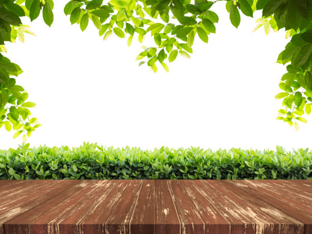 istock Empty wood table top with Green leaves background.For product display 813553784