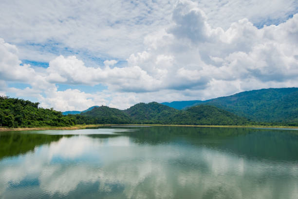 istock Beautiful natural lake in the forest 813554164