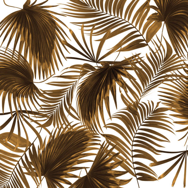 istock leaves of palm tree on white background 813565224