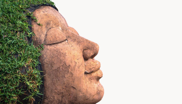 Background,Human face hair from grass