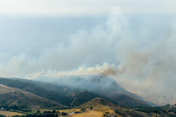istock Forest fire near popular tourist beach town 813570548