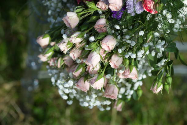 istock Bunch of colorful flowers 813575272