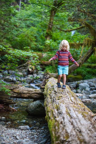 istock Girl walking on log in forest 813578072