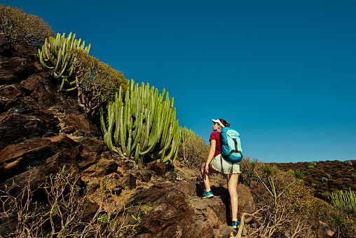 hiker woman in Tenerife hiking the mountains in summer day, leisure and healthy lifestyle.