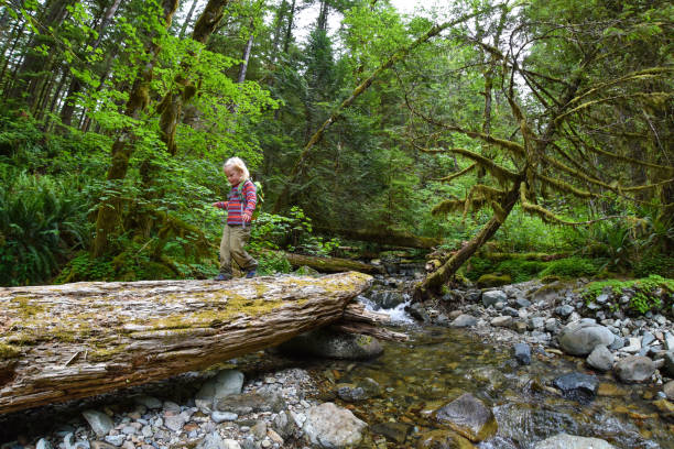 istock Girl walking on log in forest 813578192