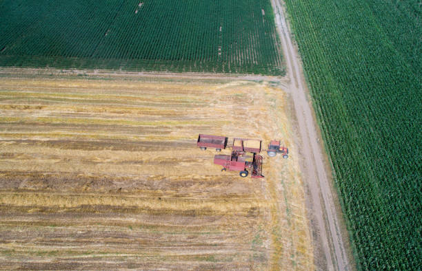 istock Combine harvester and tractor working in wheat field 813588600