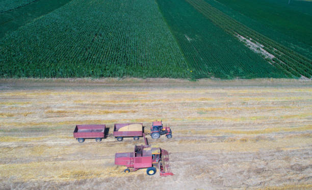istock Combine harvester and tractor working in wheat field 813590882