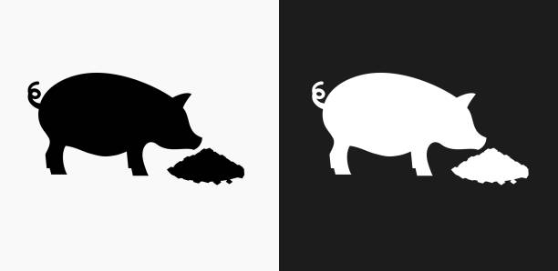 Feeding Pig Icon on Black and White Vector Backgrounds Feeding Pig Icon on Black and White Vector Backgrounds. This vector illustration includes two variations of the icon one in black on a light background on the left and another version in white on a dark background positioned on the right. The vector icon is simple yet elegant and can be used in a variety of ways including website or mobile application icon. This royalty free image is 100% vector based and all design elements can be scaled to any size. animals feeding stock illustrations
