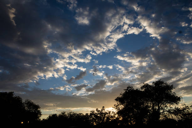 A Dramatic sunset with trees silhouetted at the bottom of the frame shot in New Mexico