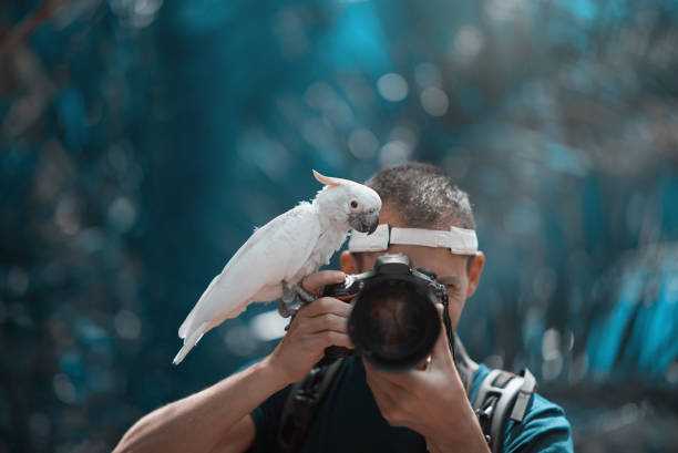 istock photographer in the wilderness 813597084