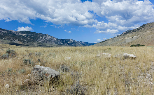 Cody, Wyoming, USA - Rugged, arid prairie and undulating landscape of Buffalo Bill State park showing the rocky mountains in summer near Cody, Wyoming, USA.