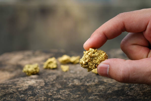 the pure gold ore found in the mine is in the hands of men. - gold digger imagens e fotografias de stock