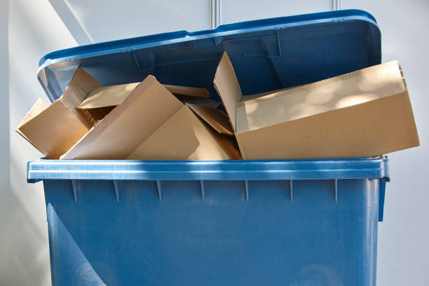 istock Paper and cardboard trash container. Recycling. Clean cities 813604596