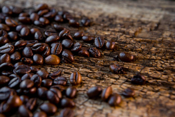 кофейные зерна на деревянном фоне - coffeetree стоковые фото и изображения