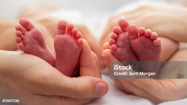 Mutter Und Des Vaters Hände Wiegt Zwei Babys Füße Auf Einem Blassen Hintergrund Stockfoto und mehr Bilder von Zwilling