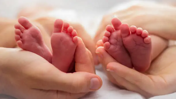 Photo of Mother and father's hands cradling twin babies' feet on a pale background