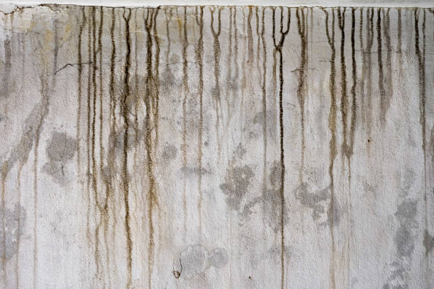 the black stains on the cement wall are dirty. - water damaged stained concrete imagens e fotografias de stock