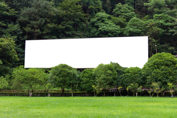 istock blank billboard ready for new advertisement at green park zone 813618892