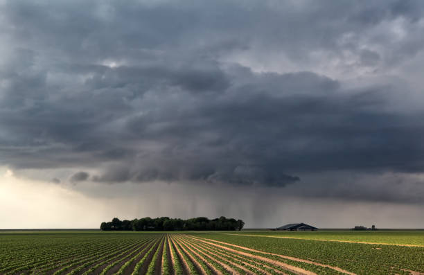 raining cloud over field in summer farmland stock photo