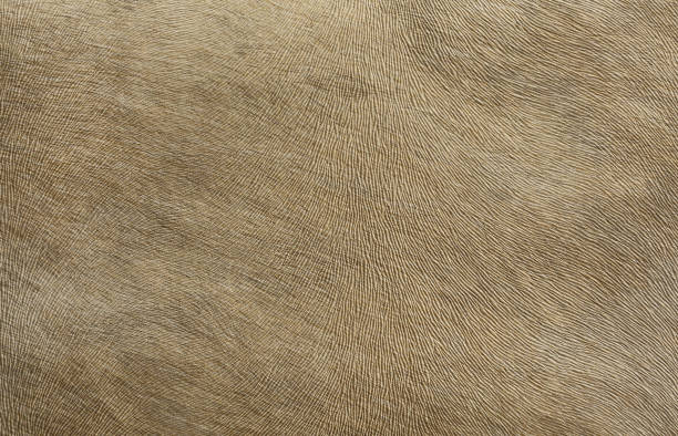 istock Upholstery fabrics that mimic the leather. 813640930