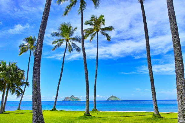 istock Image of Hawaii Lanikai Beach 813640976
