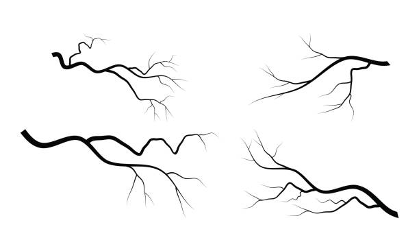 kahlen ast set vektor-symbol-icon-design. - bare tree nature backgrounds tree trunk branch stock-grafiken, -clipart, -cartoons und -symbole