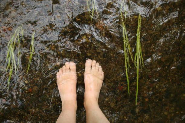 istock Barefoot woman's legs in  water stream of river. 813651992