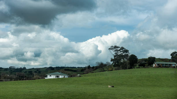 house in a meadow with a dense cloudy sky in the background