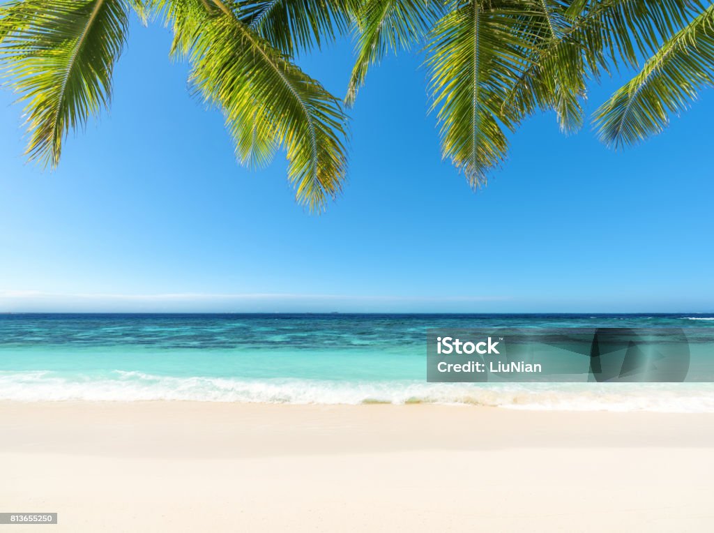 Tropisches Paradies-Strand - Lizenzfrei Bildhintergrund Stock-Foto
