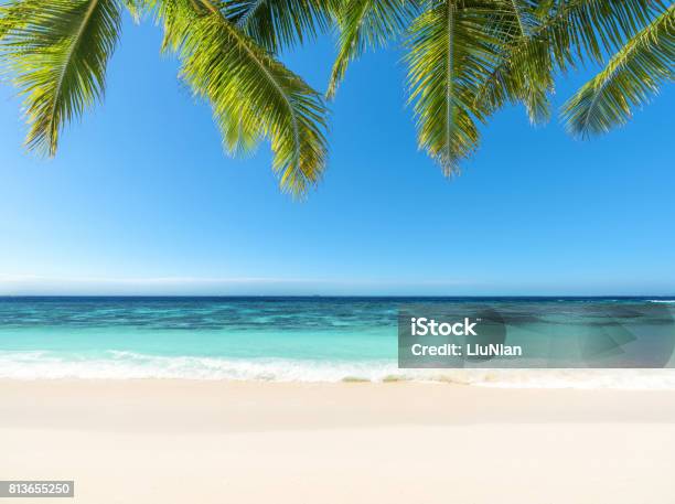 Tropical Paradise Beach Stock Photo - Download Image Now - Arts Culture and Entertainment, Backgrounds, Beach