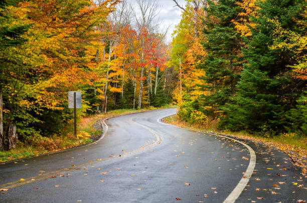 сценическая извилистая горная дорога через лес осенью - road autumn highway rain стоковые фото и изображения