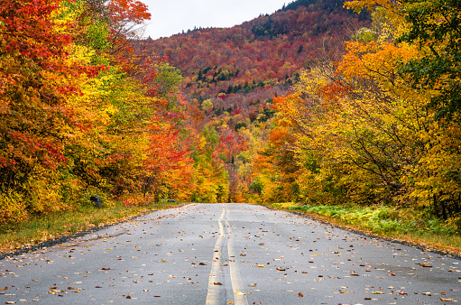 Scenic Mountain Road Through a Colourful Forest of Maple Trees in Autumn. Adirondack Mountains, NY.