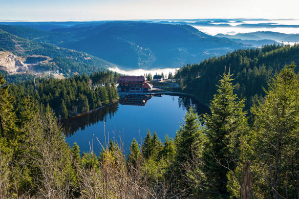 ムンメル湖湖と黒い森ゼーバッハ近く山ホテル - black forest ストックフォトと画像