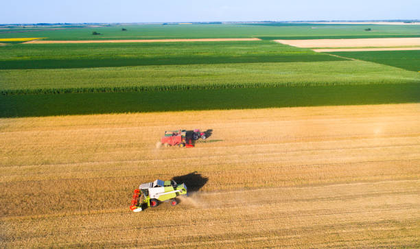 istock Combine harvester and tractor working in wheat field 813674140
