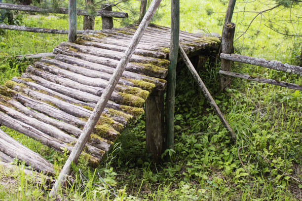 istock Old wooden bridge in the forest, 813674430