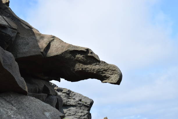 istock rock in the form of an eagle's head 813697836