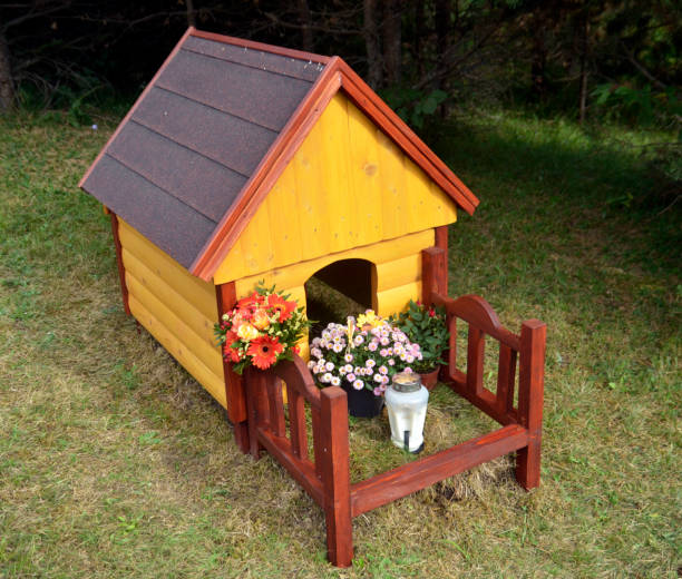 istock Wooden dog house 813709092