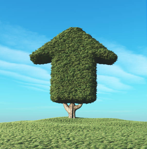 istock A green tree in the shape of an arrow 813713748