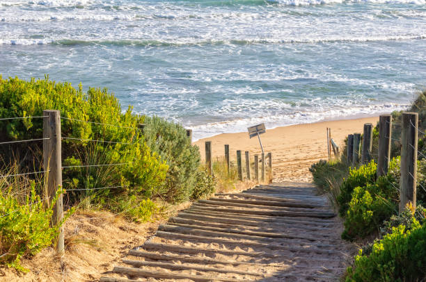 istock To the beach - Point Lonsdale 813713832
