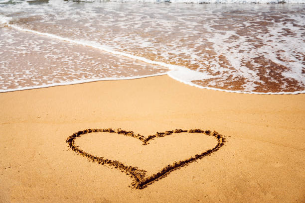 istock Heart in the sand by the sea 813716928