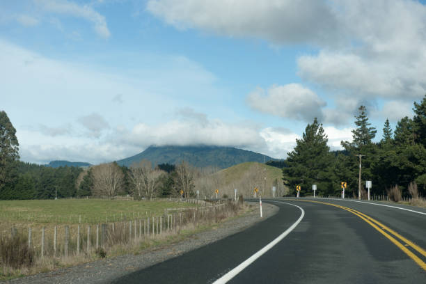 istock Tree lined road curving to the left under cloudy skies and a mountain in the background 813716938