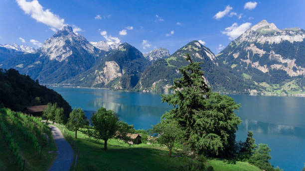 istock Nature of Swiss 813729656