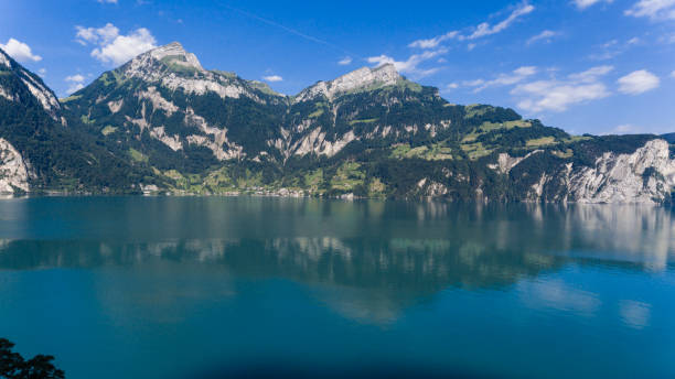 istock Nature of Swiss 813729826