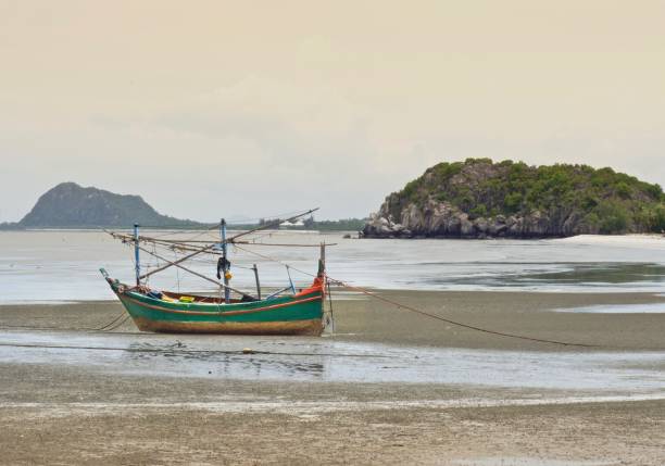 istock Thai Taxi-Boats On Beach 813734600